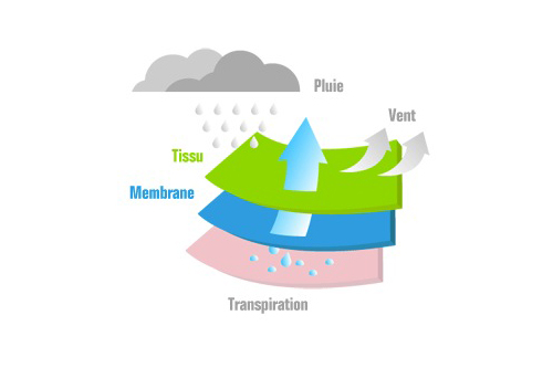 picture-membrane