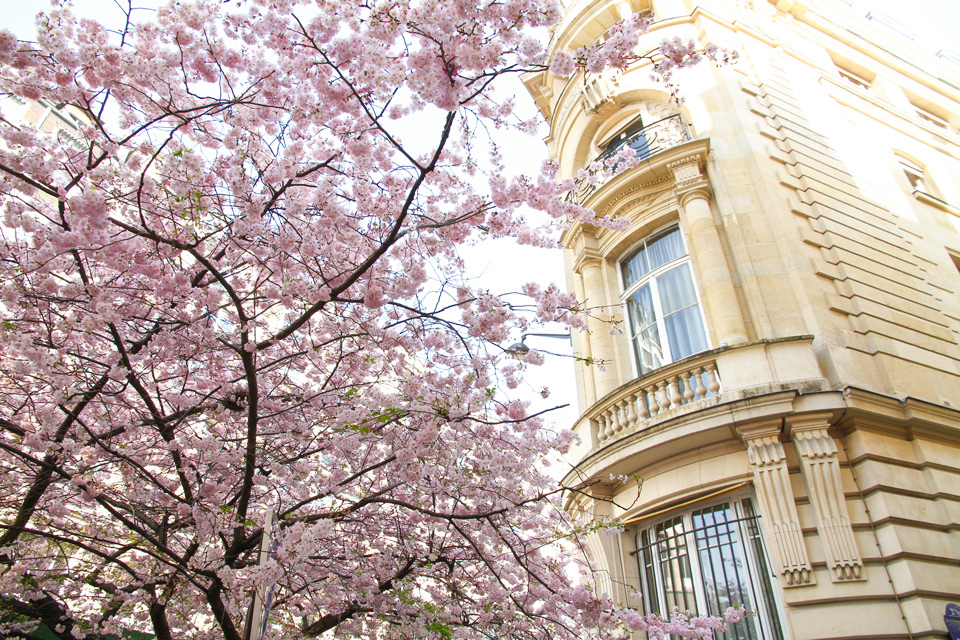 Paris rue Argout