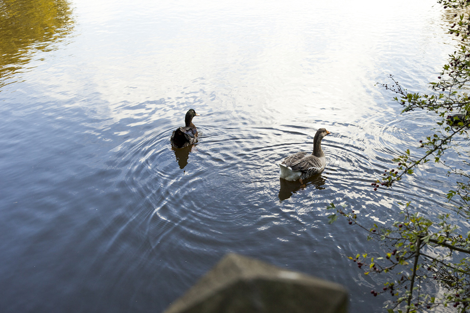 etang du ter Lorient