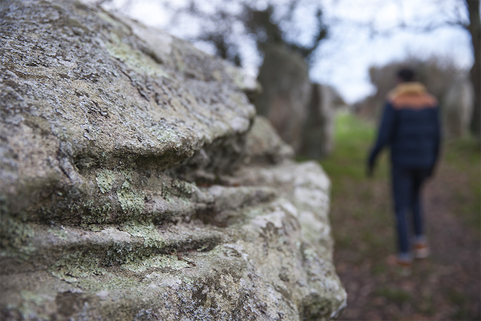 zoom-menhir