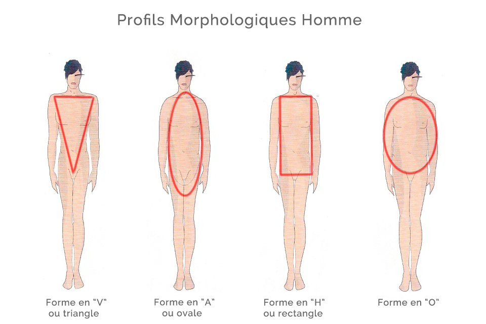 Morphologie Homme
