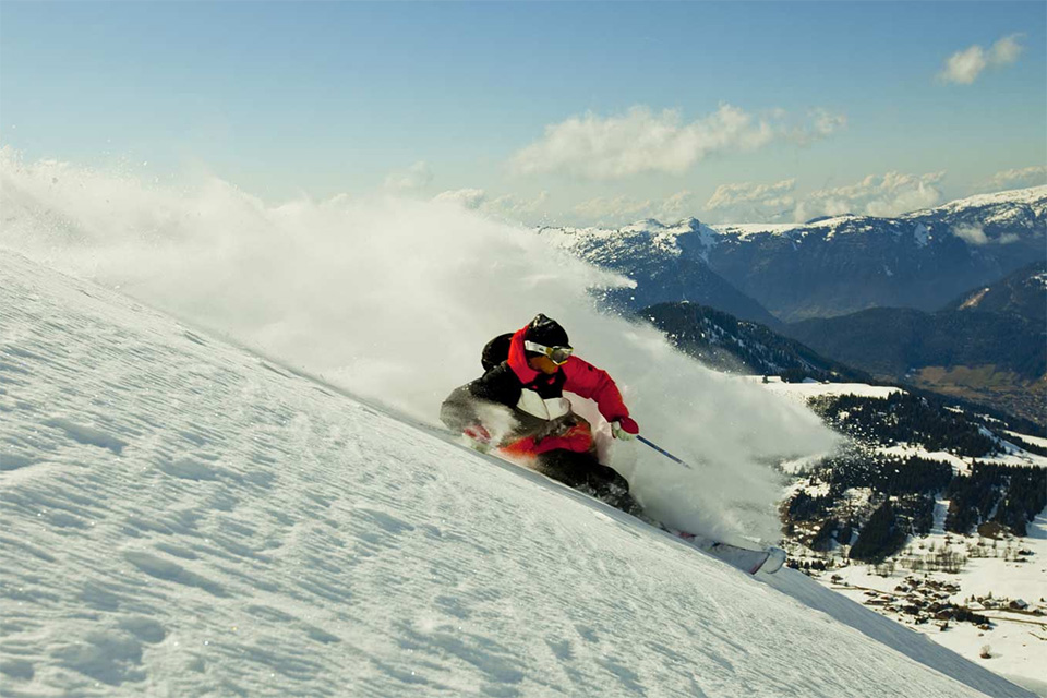 candide thovex ski homme