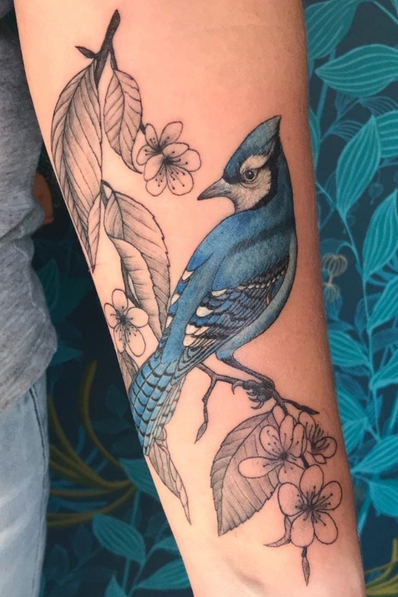 La french Tattoo oiseau