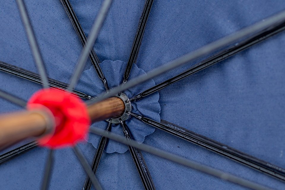 Parapluie Piganiol Henri choupette baleines