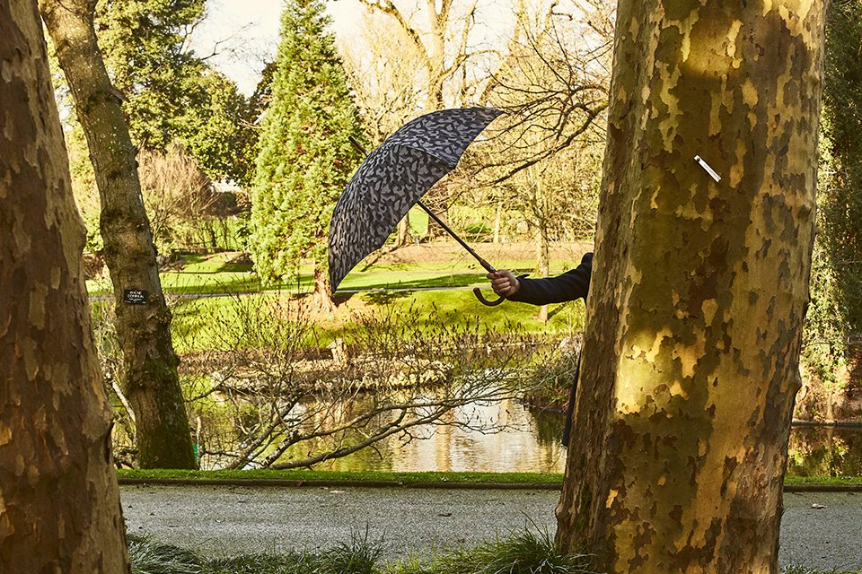 Look Jardin Parapluie Arbre