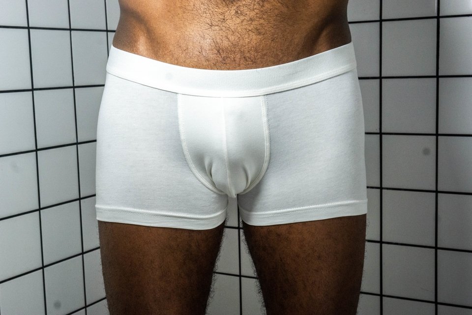 Petrone Calecon Moderne