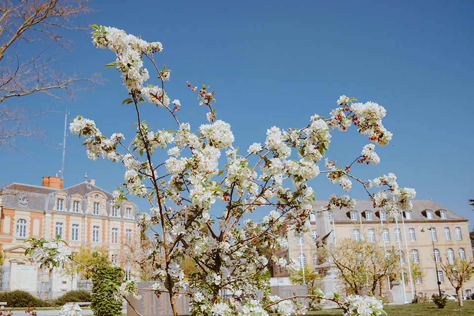 Rennes jardins