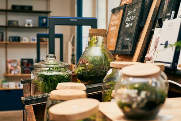 Garconniere Bordeaux Terrarium