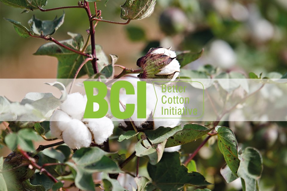 Better Cotton Initiative Greenwashing