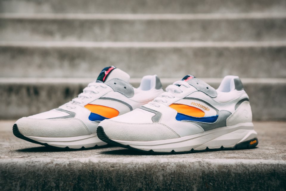 Notomia-Aquila-2-Paire