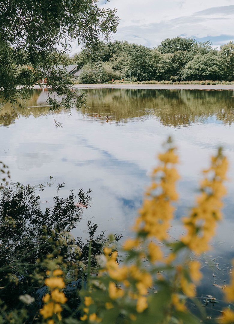 Parc des gayeulles canards