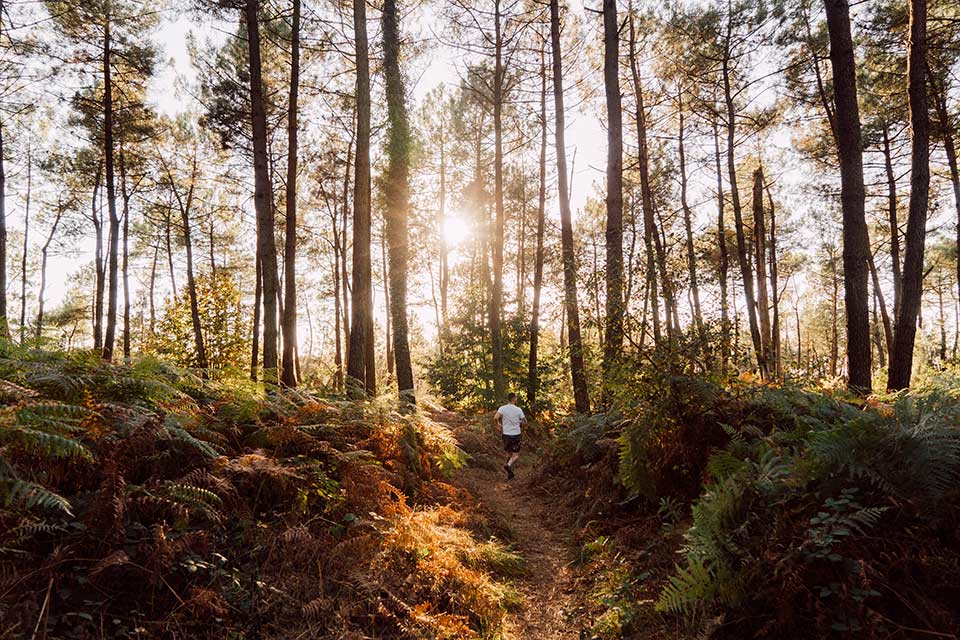 Où Courir Forêt