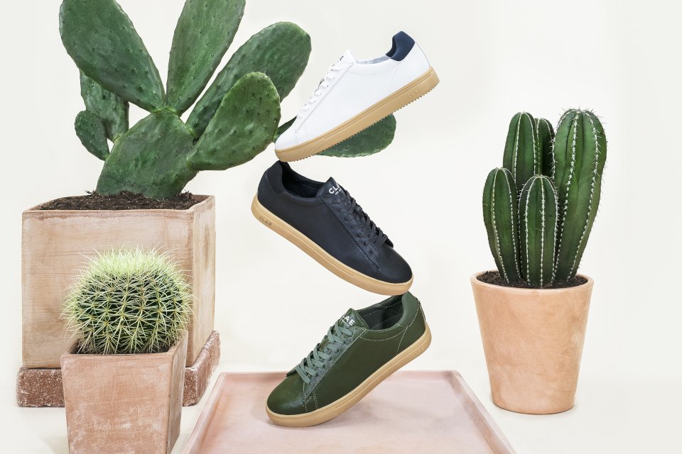 clae cactus