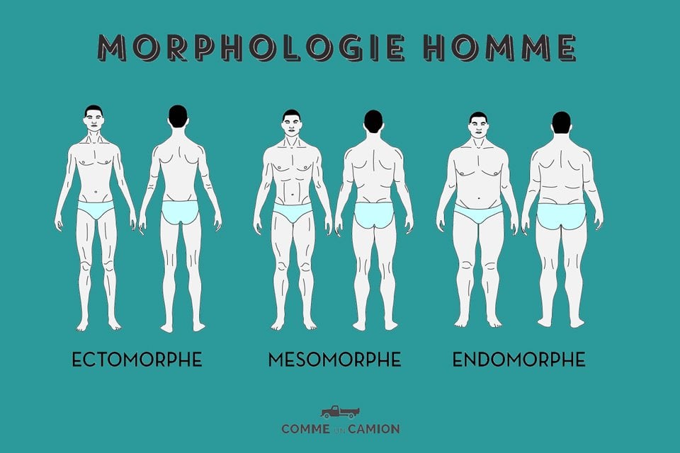 morphologie homme conseils