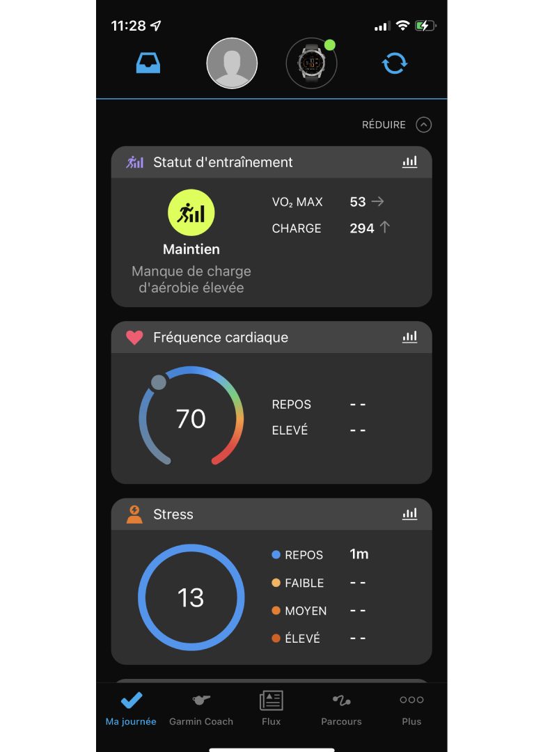 Garmin Epix gen 2 application