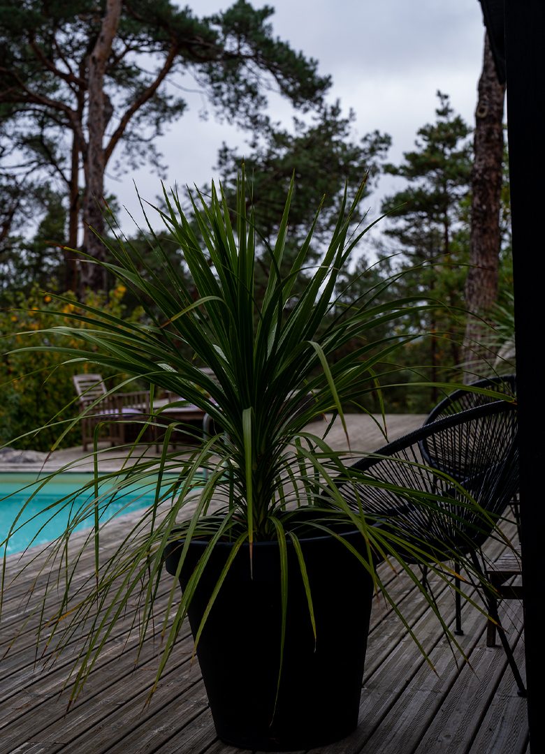 maison primaloft forêt fontainebleau