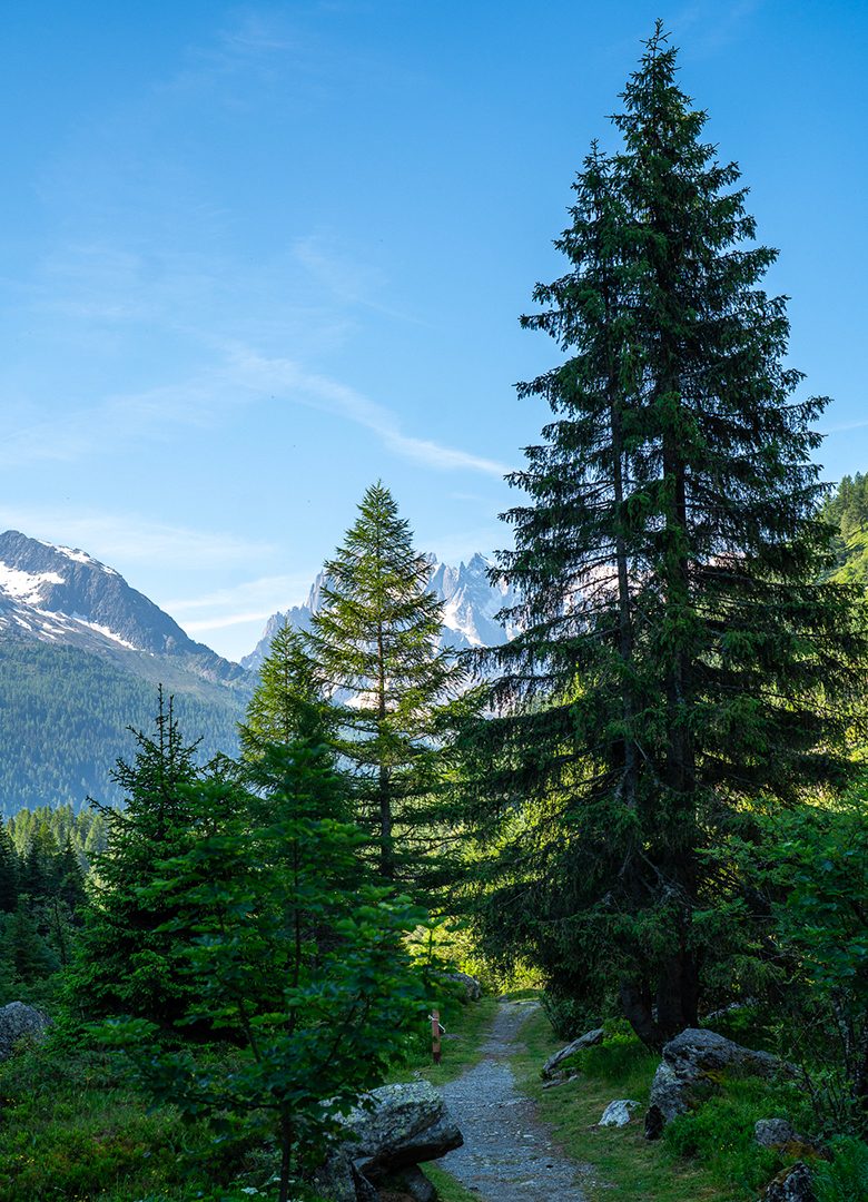 Paysage montagne Chamonix