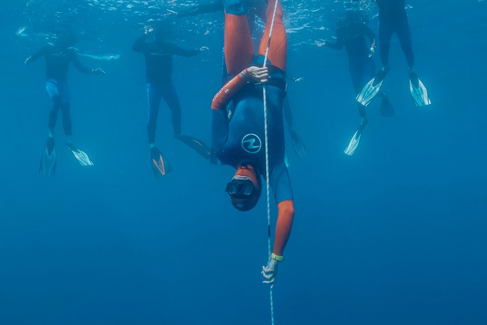 Hamilton Scuba capture plongee