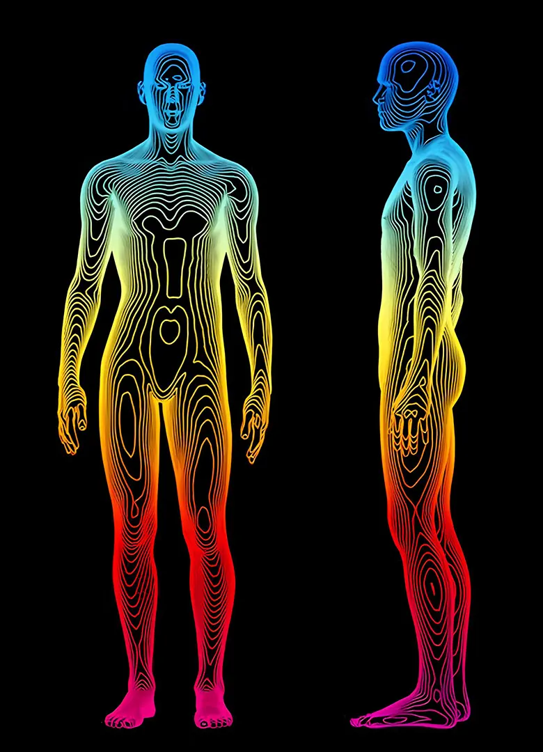 chaleur thermique corps humain