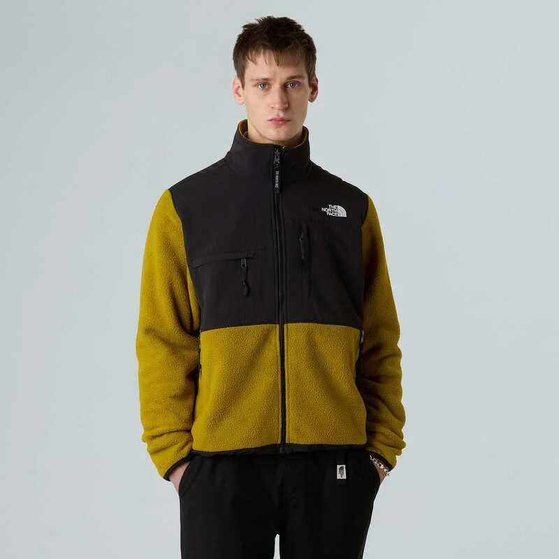 Polaire The North Face