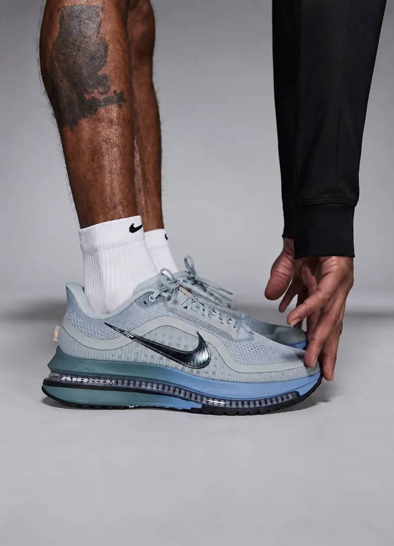 baskets automne 2026 nike pegasus premium