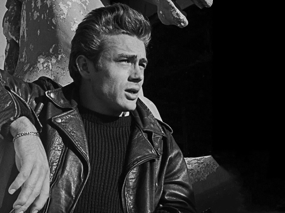 James Dean Perfecto cuir