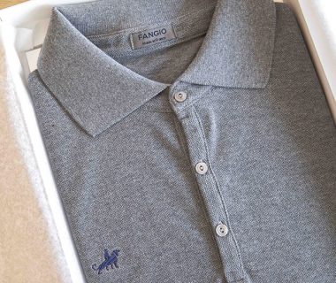 Polo Fangio decouverte