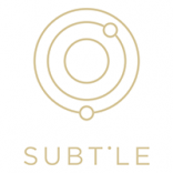 Logo Subtle shoes