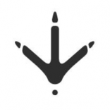 Estampille Marque Logo