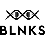 BLNKS logo 2020