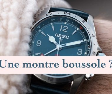 seiko prospex alpinist avis