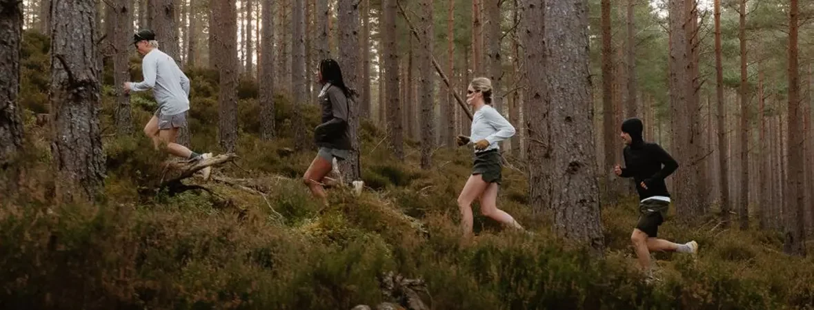 baskets trail stylee 2025